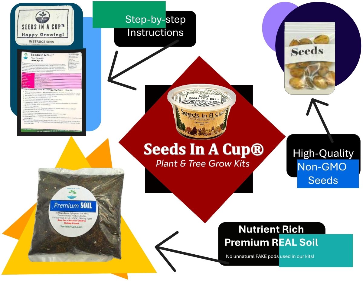 Seeds In A Cup® Original Herb Kit