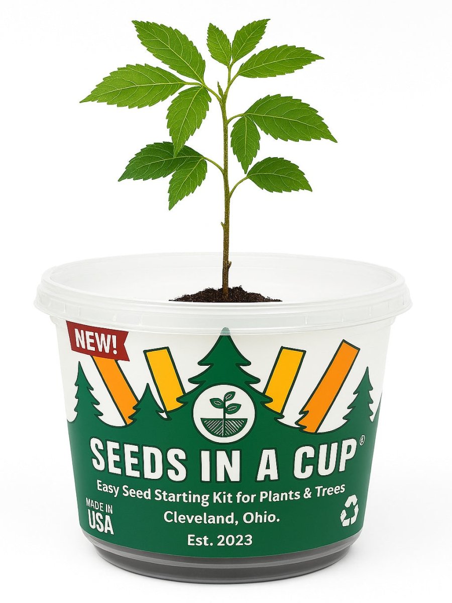 Seeds In A Cup® Original Herb Kit