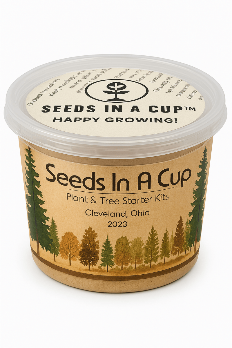 Seeds In A Cup® Original Herb Kit