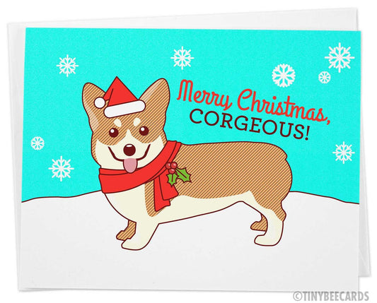 Funny Christmas Card "Merry Christmas, Corgeous"