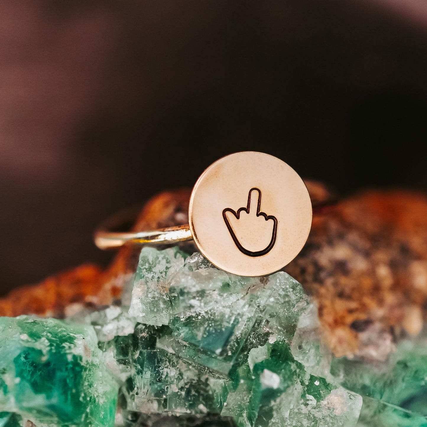 Single Middle Finger Dainty Silver Ring