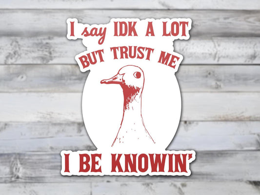I Say IDK A Lot But Trust Me I Be Knowing Vinyl Sticker