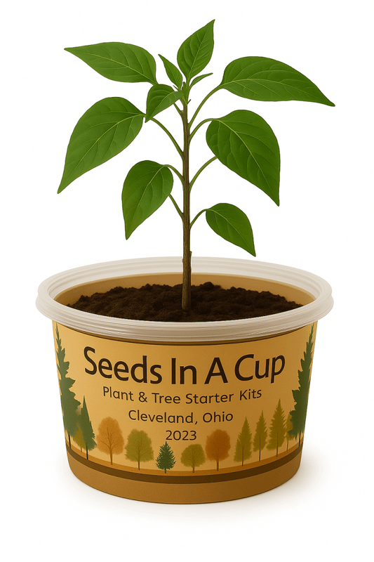 Banana Pepper | Plant Starter Grow Kit | Seeds In A Cup®