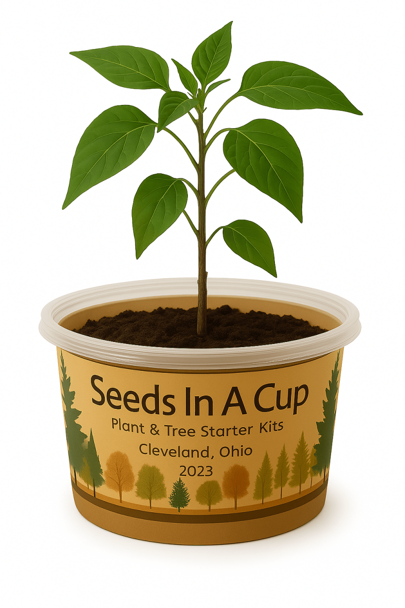Garden in A Box by Seeds In A Cup® - Choose 5 Vegetable & Herb Kits