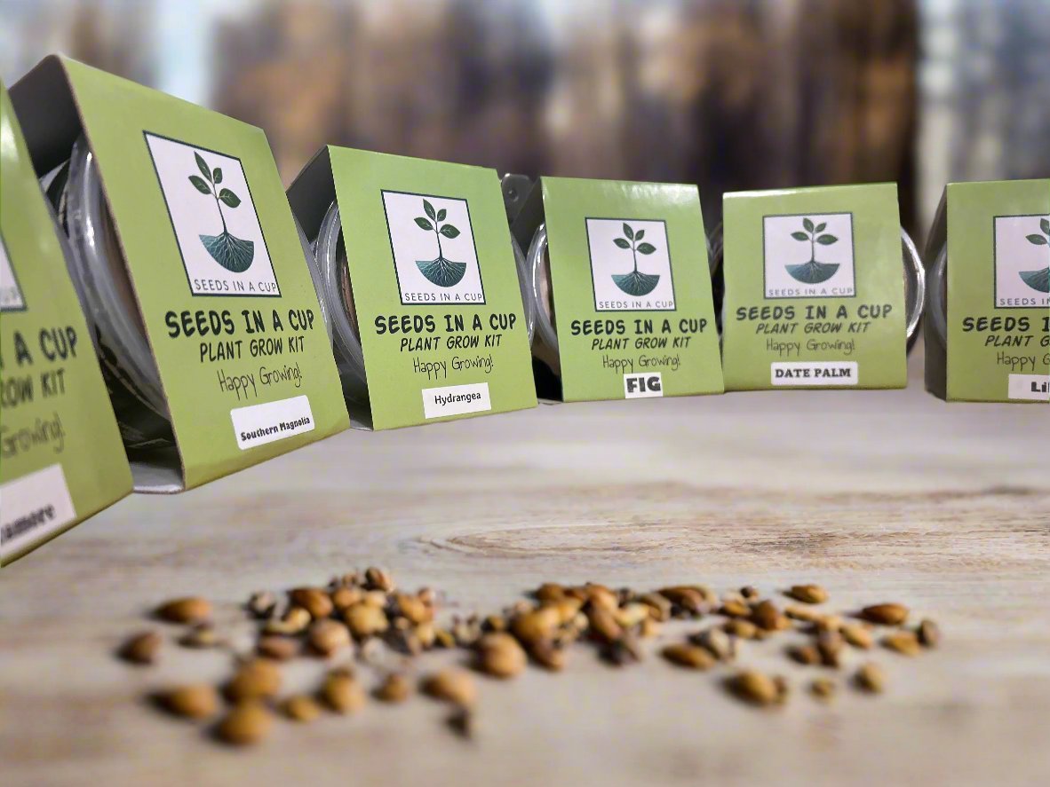 Pear Tree | Seed Starter Grow Kit | Seeds In A Cup®