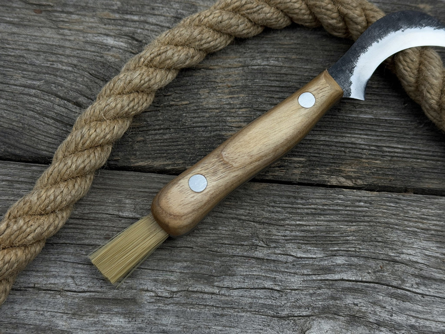 Mushroom Knife for Forest Walks, 6 cm (2.36 inches)