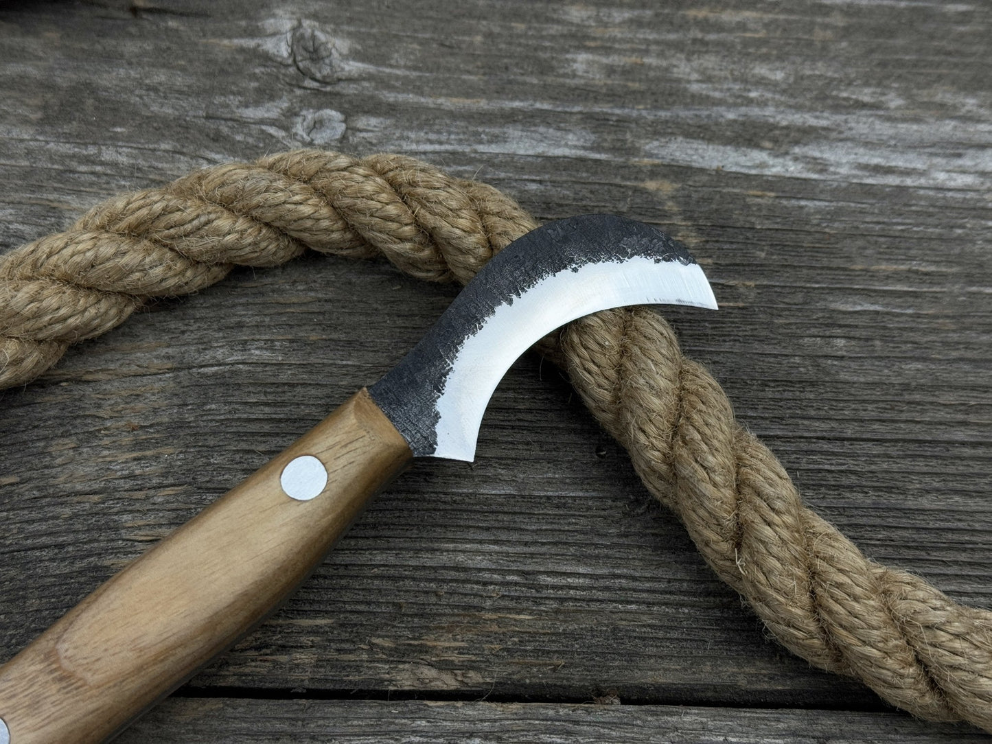 Mushroom Knife for Forest Walks, 6 cm (2.36 inches)