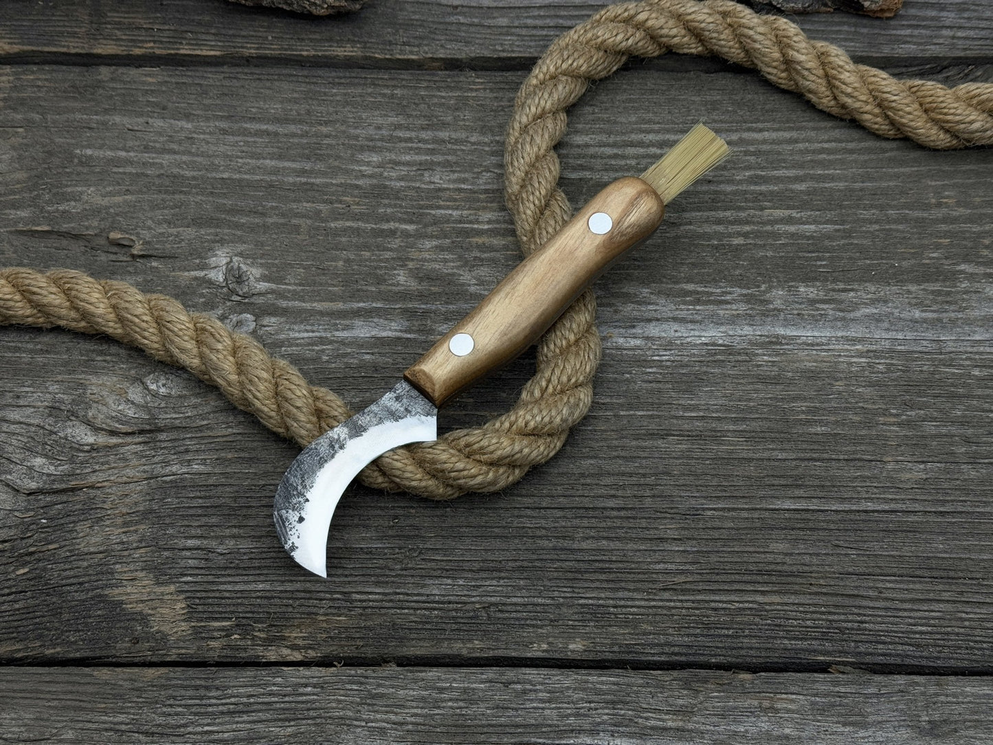 Mushroom Knife for Forest Walks, 6 cm (2.36 inches)