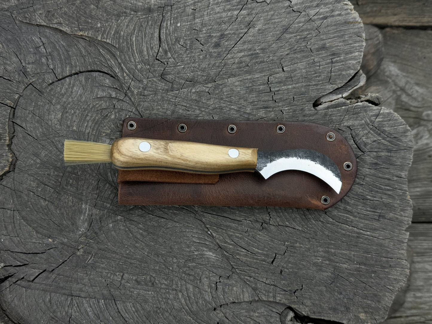Mushroom Knife for Forest Walks, 6 cm (2.36 inches)