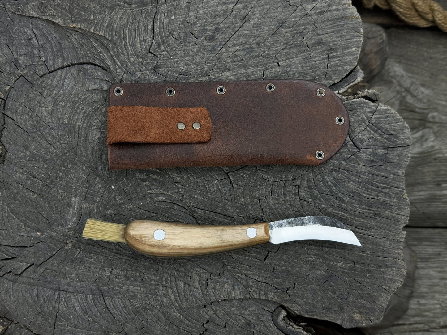 Mushroom Knife for Forest Walks, 6.5 cm (2.56 inches)