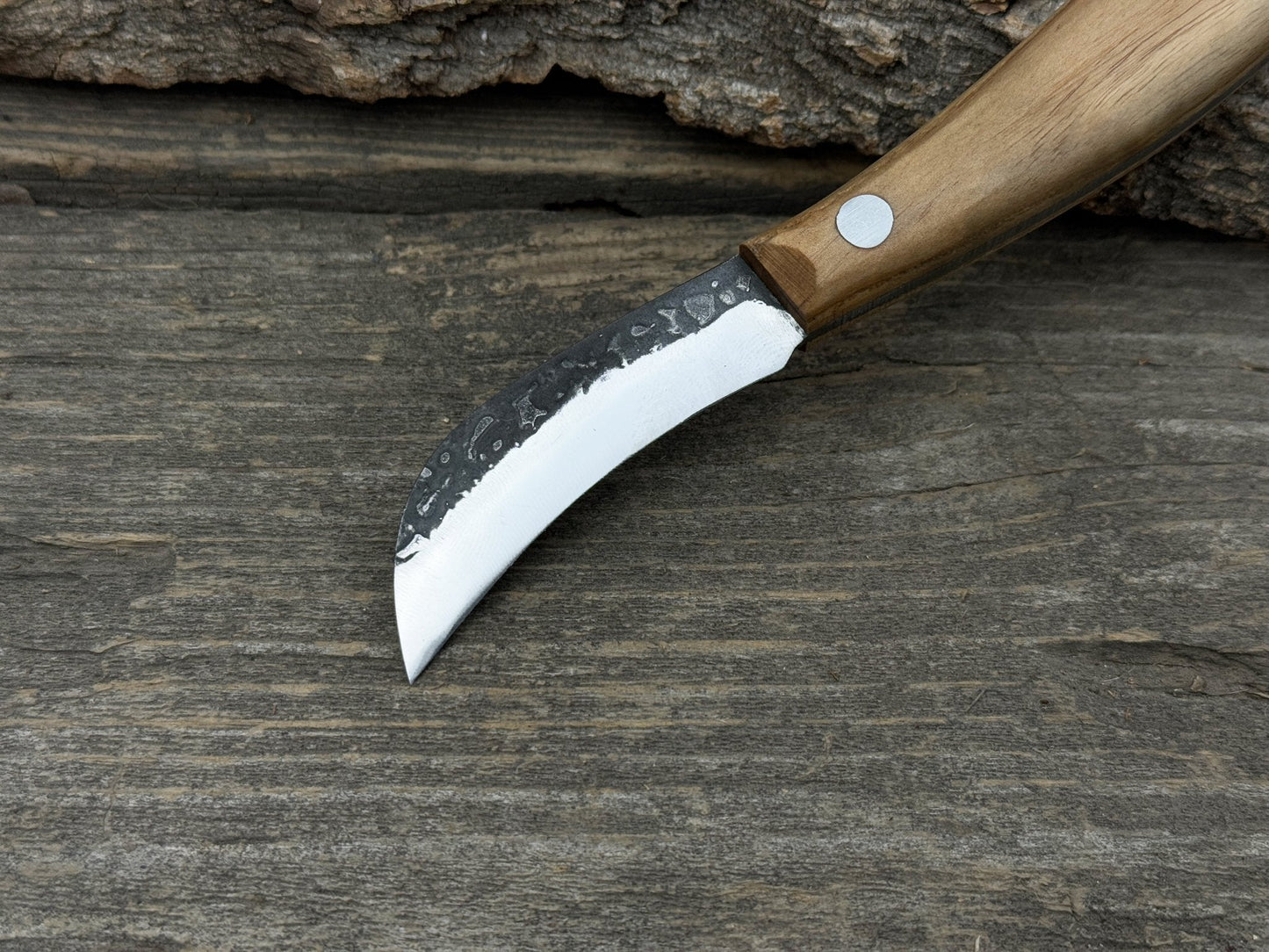 Mushroom Knife for Forest Walks, 6.5 cm (2.56 inches)