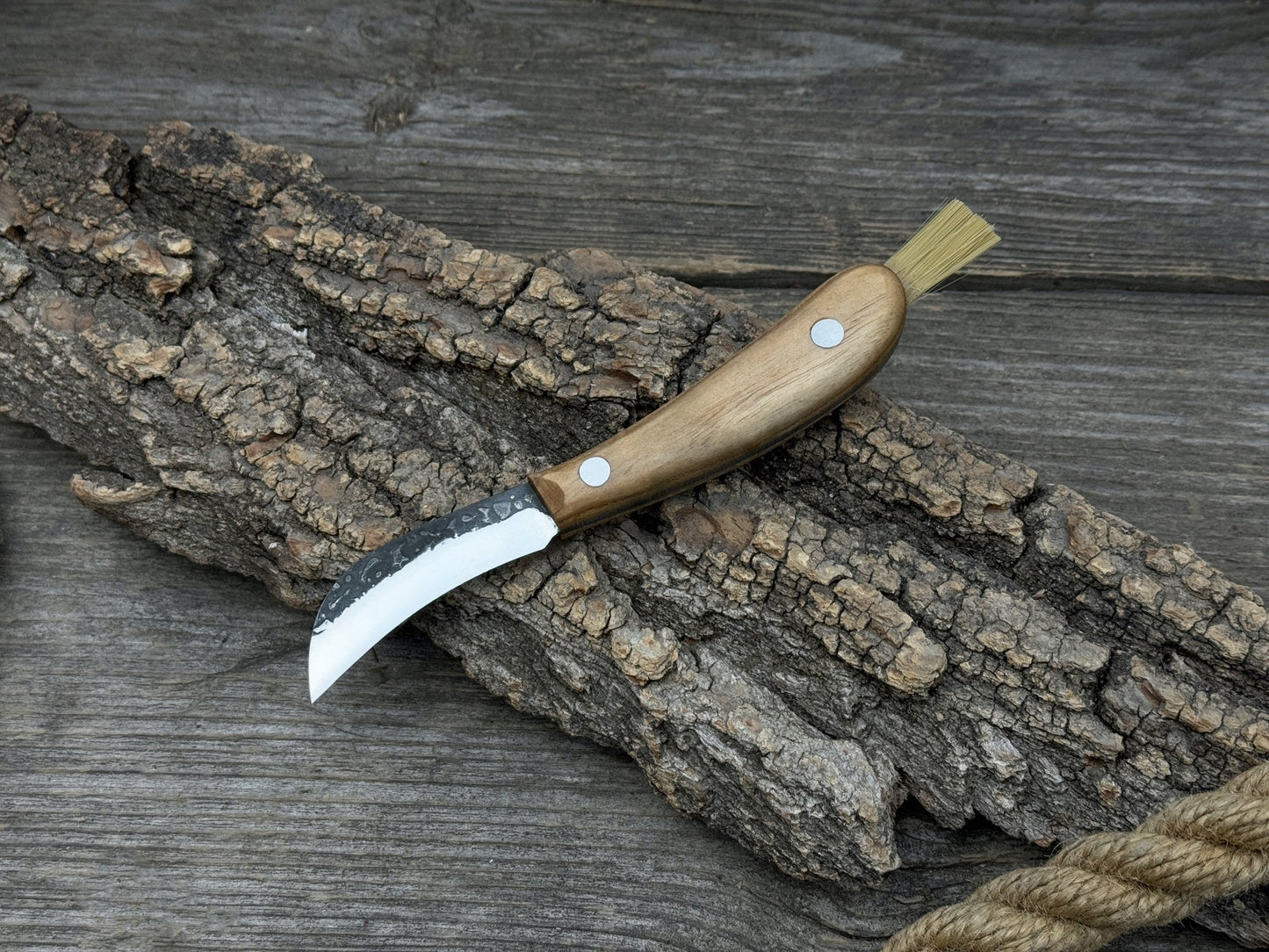 Mushroom Knife for Forest Walks, 6.5 cm (2.56 inches)