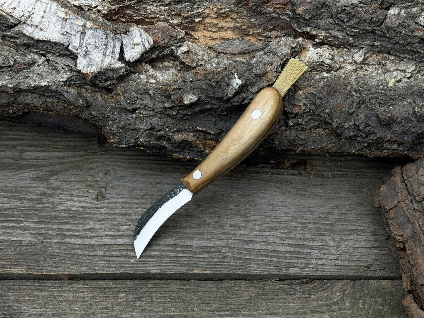 Mushroom Knife for Forest Walks, 6.5 cm (2.56 inches)