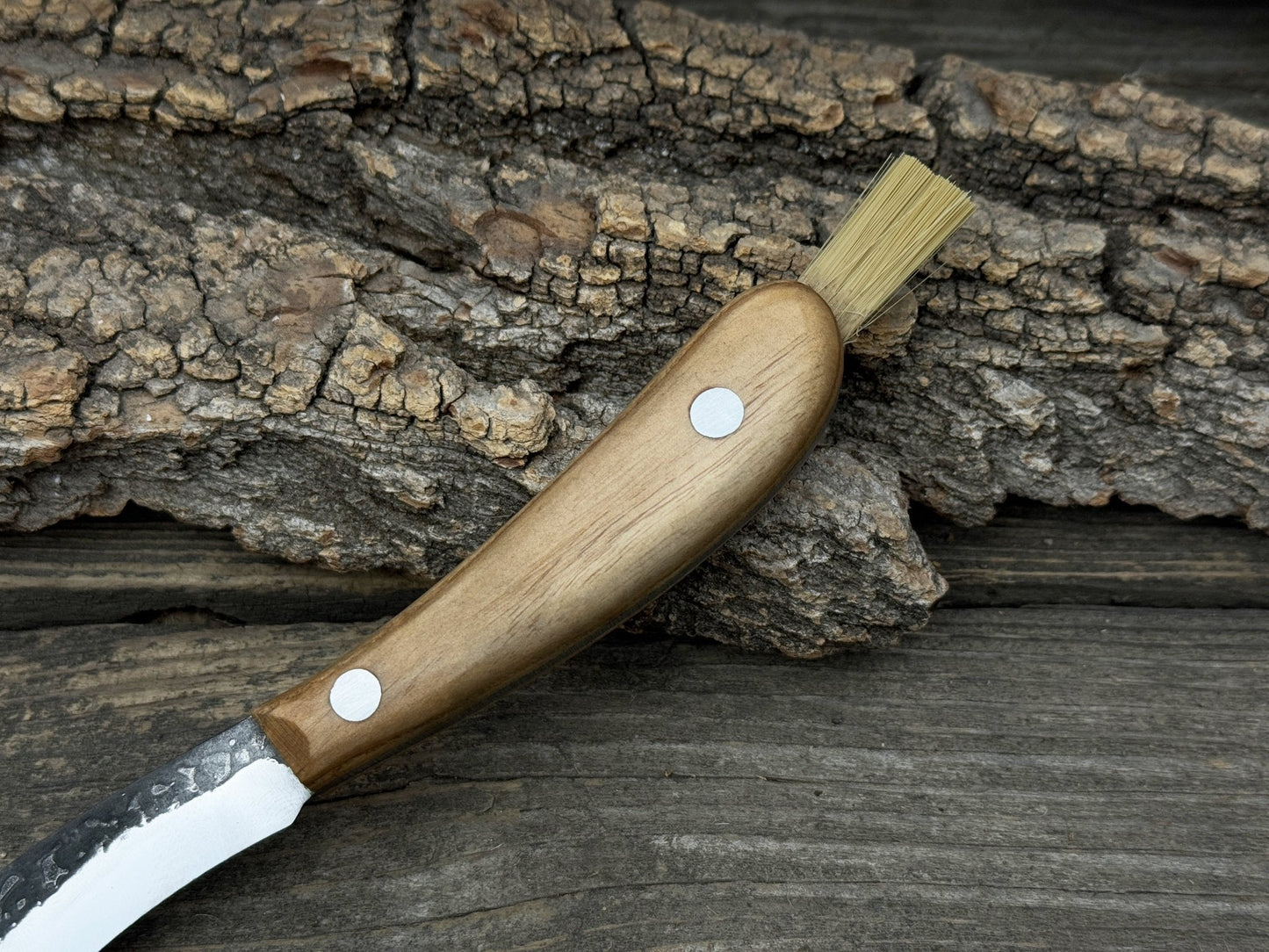 Mushroom Knife for Forest Walks, 6.5 cm (2.56 inches)
