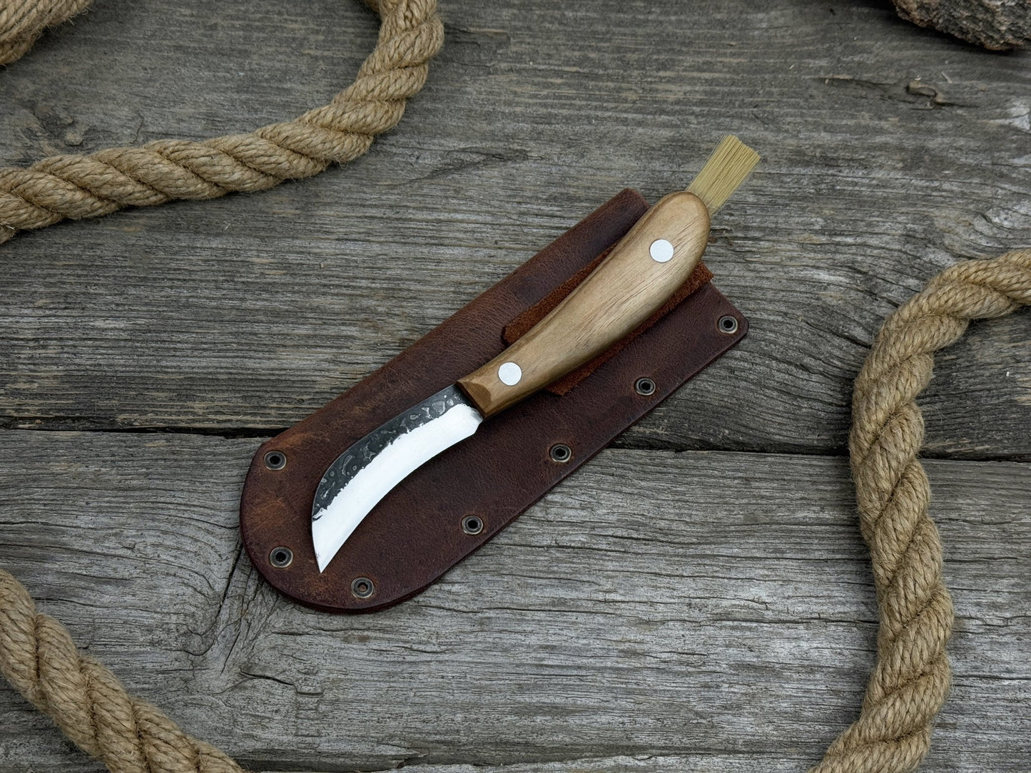Mushroom Knife for Forest Walks, 6.5 cm (2.56 inches)