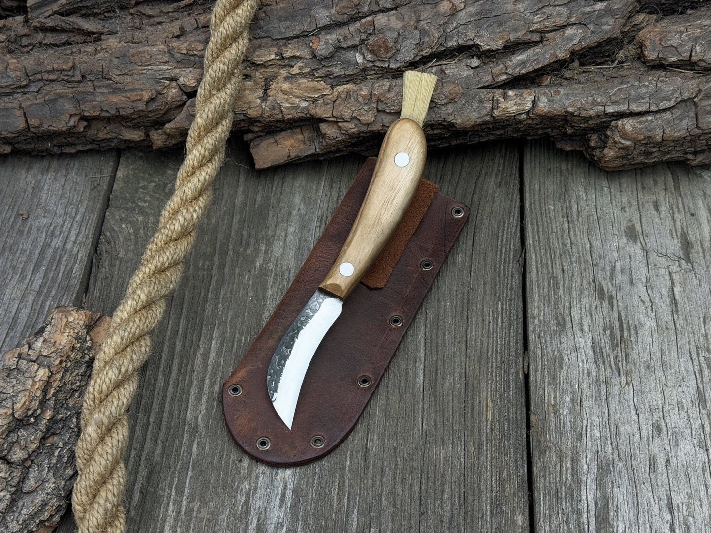 Mushroom Knife for Forest Walks, 6.5 cm (2.56 inches)