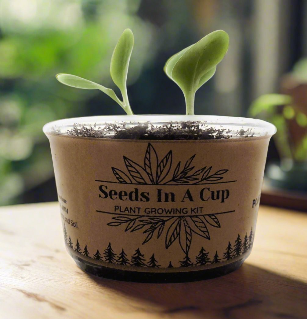 Seeds In A Cup®  Original Veggie & Herb Grow Kit