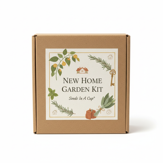 New Home Garden Kit | Money Plant, Rosemary, Basil & Sage | Seeds In A Cup®