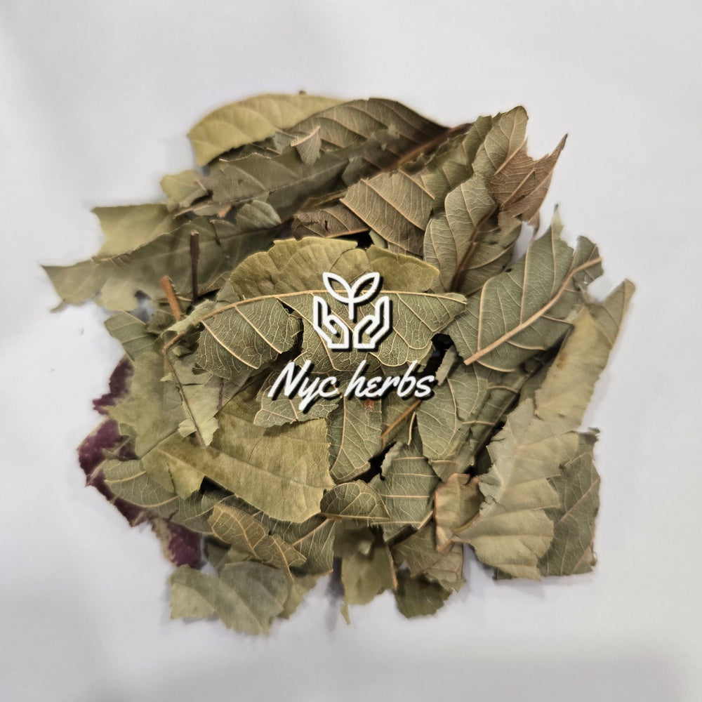 Guava Leaf | Blood Sugar Balance & Digestive Support