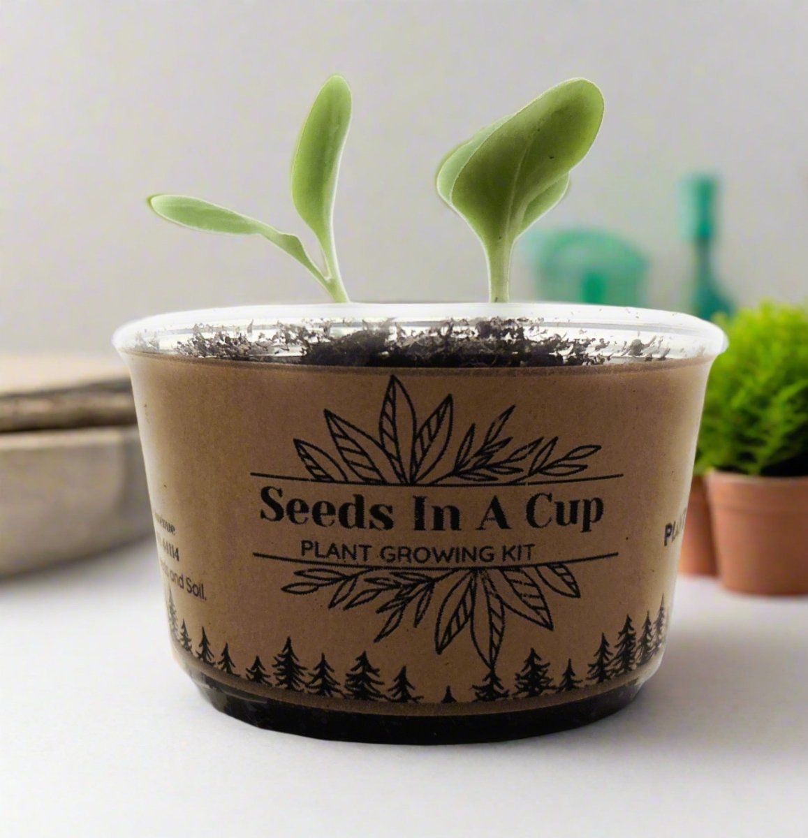 Dessert Grape | Vine Seed Starter Grow Kit | Seeds In A Cup®