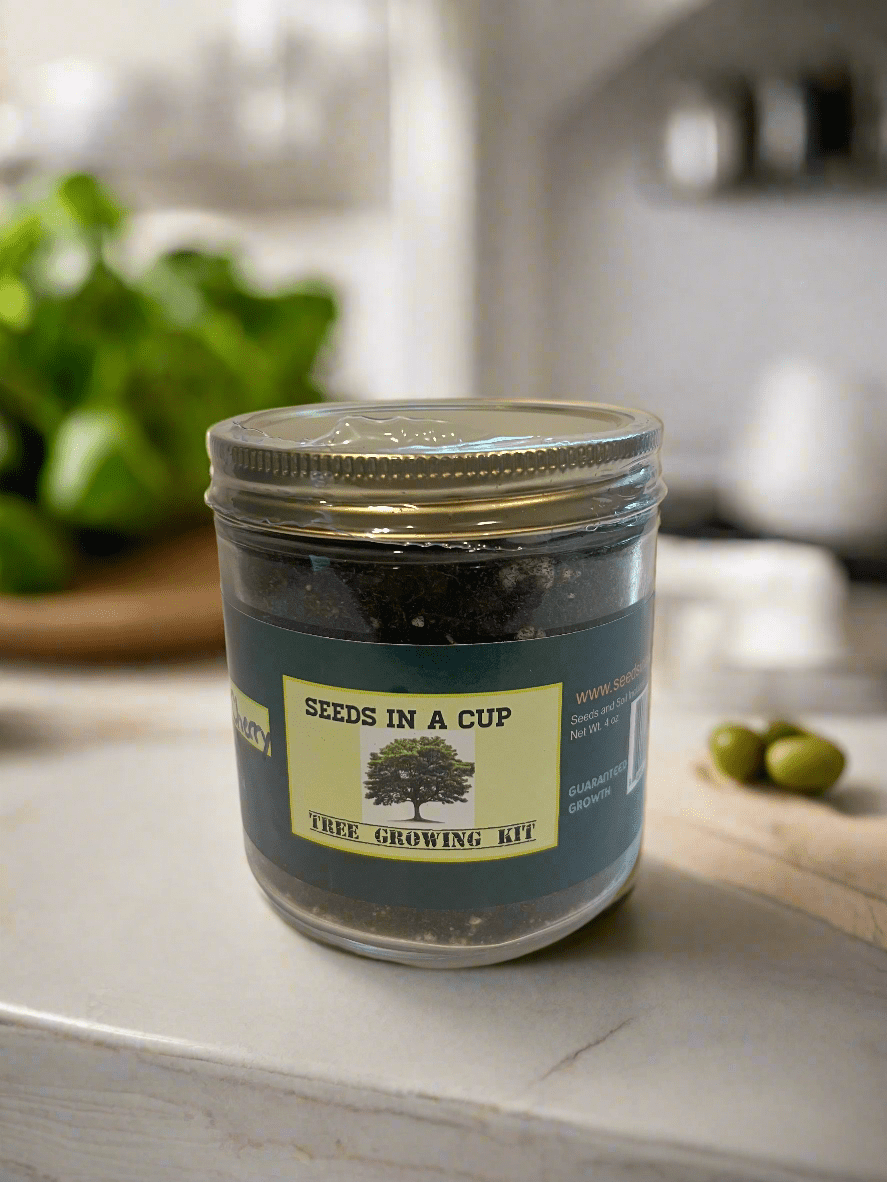 Dessert Grape | Vine Seed Starter Grow Kit | Seeds In A Cup®