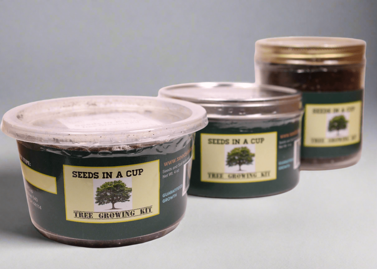 Seeds In A Cup® Original Herb Kit