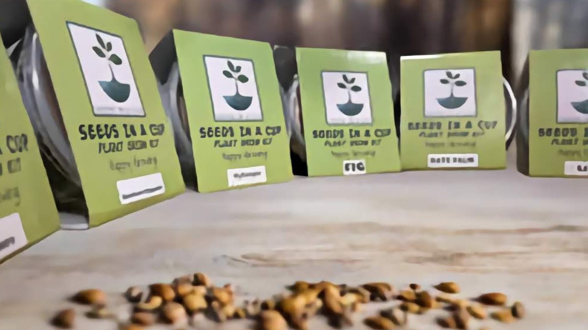 Blackberry | Shrub Seed Starter Grow Kit | Seeds In A Cup®