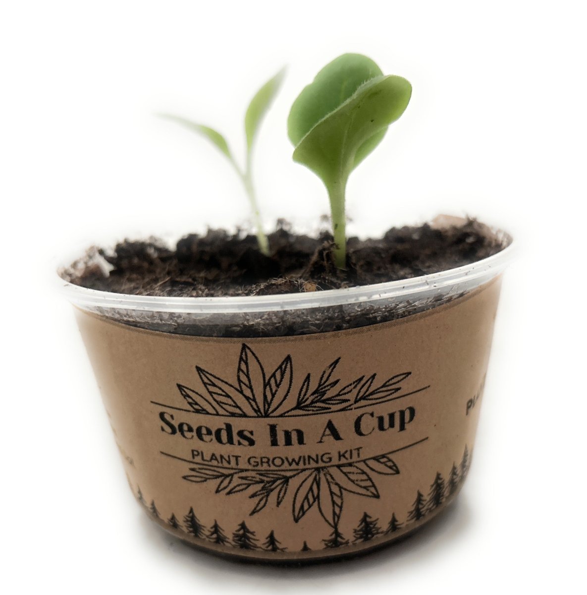 Seeds In A Cup®  Original Veggie & Herb Grow Kit