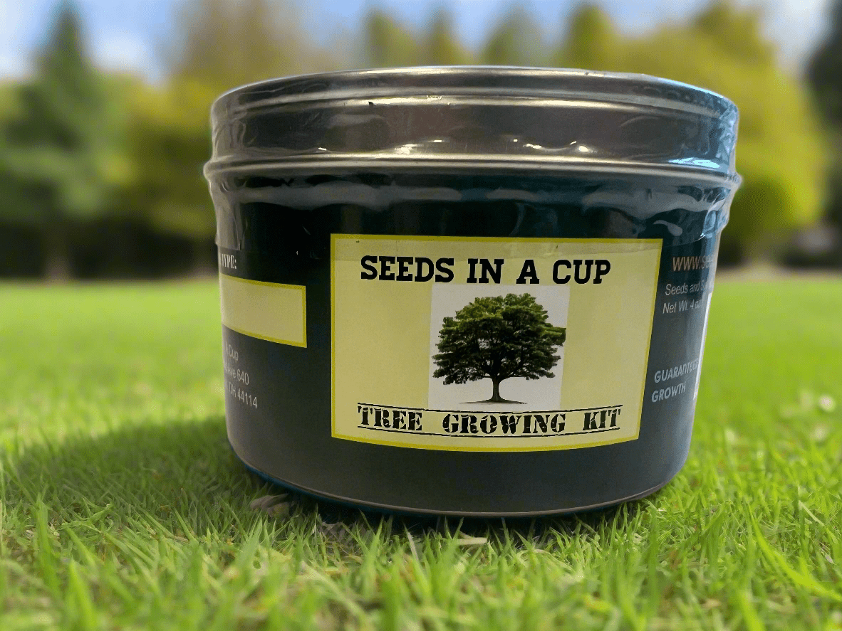 Guava Tree | Seed Starter Grow Kit | Seeds In A Cup®