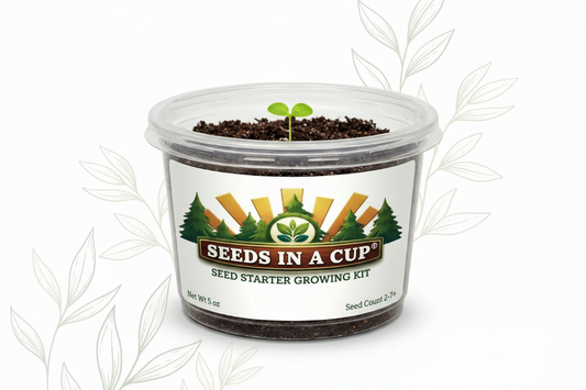 Loofah Grow Kit | Grow Natural Bath Sponges from Seed | Seeds In A Cup®