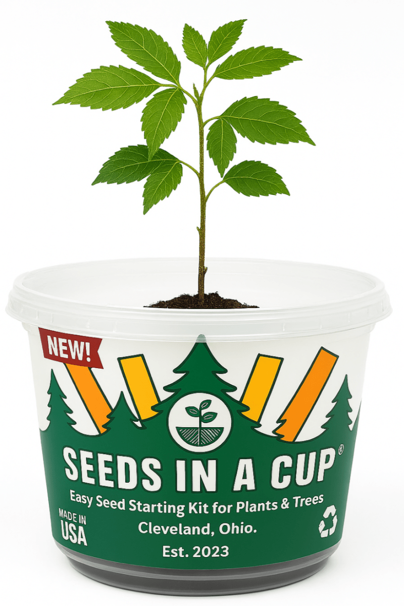 Squash | Plant Seed Starter Grow Kit | Seeds In A Cup®