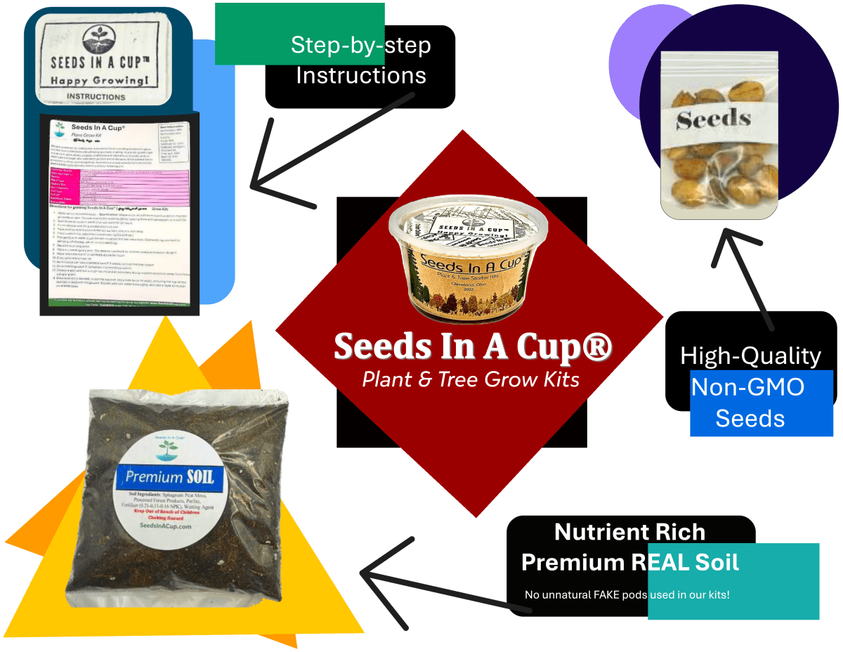Squash | Plant Seed Starter Grow Kit | Seeds In A Cup®