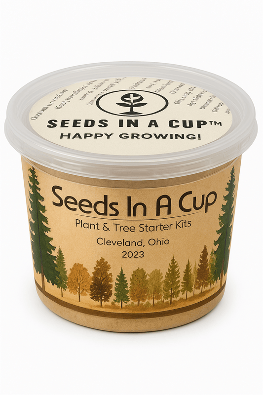 Okra Seed Grow Kit from Seeds In A Cup®