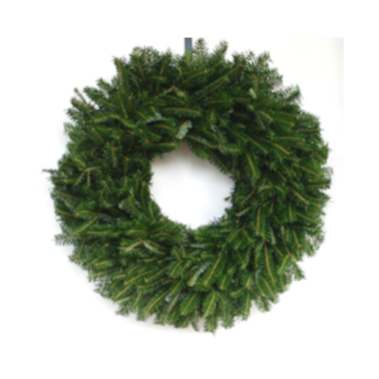 6 Pack Plain Balsam Fir Wreaths